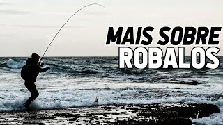 SEGREDOS PARA PESCAR ROBALOS AO SPINNING [upl. by Nalad]