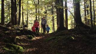 Urlaub in Ruhpolding  Sommer amp Winteraktivitäten in den Bayerischen Alpen [upl. by Bogusz]