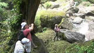 Visite las cataratas El Breo en Juanjuí  San Martín [upl. by Gilliam]