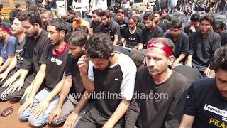 Shia Muslims observe Namaz on the day of Ashura [upl. by Anirrok]