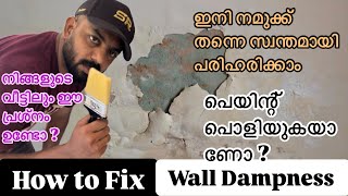 How to fix Wall Dampnesswalldampess painting wallpainting interiordesign renovation [upl. by Kristine808]