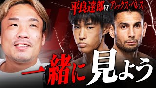 「平良達郎vsアレックス・ペレス」を一緒に見よう！【ライブ配信】 [upl. by Gerk724]