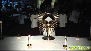 2014 Adoration Medjugorje Youth Festival [upl. by Ettelimay793]