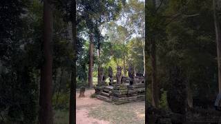 Banteay Kdei Temple ksdaily travel foryou temple siemreap viralvideo historical [upl. by Renny]