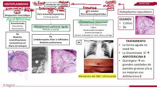 RESUMEN COMPLETO DE MICOSIS [upl. by Nuahs]