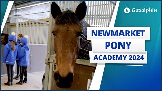 Newmarket Pony Academy 2024 [upl. by Autrey]