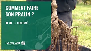 TUTO Comment faire son pralin  – Jardinerie Gamm vert [upl. by Corell]