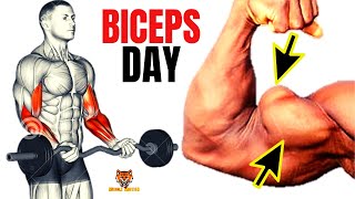 13 BICEPS EXERCISES WITH BARBELL ONLY  Musculation biceps avec barre [upl. by Stockton]