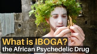 What is IBOGA The African Psychedelic Drug [upl. by Gonick]