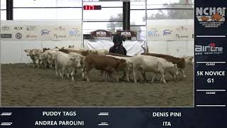 5 000 Novice Horse 1°go Top Score [upl. by Eixam259]