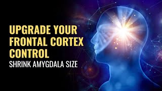 Shrink Amygdala Size  Upgrade Your Frontal Cortex Control  Overcome Fear Response and Anxiety [upl. by Adnauqal103]