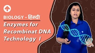 Enzymes for Recombinant DNA technologyI  Hindi  Biology NEET [upl. by Iadrahc]