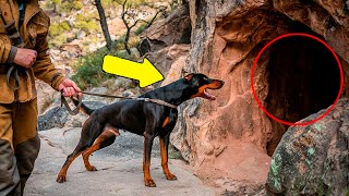 Chien Aboie Fixé sur une Grotte le Propriétaire Devient Pâle Lorsquil Découvre de Quoi Il Sagit [upl. by Royall452]