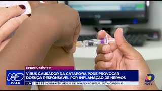 Herpes zóster vírus causador da catapora pode provocar doença responsável por inflamação de nervos [upl. by Kcirdnekel]