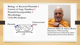 Plasmid Biology I Control of Copy Numbers I Plasmid Incompatibility I Microbiology I UGPG Students [upl. by Ivers]