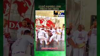 Abadá capoeira jogo pegado com dendê capoeira mundodacapoeira artesmarciais [upl. by Loree876]