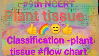 Plant tissue classification neet botany basic flowchart biology 12th [upl. by Tab]