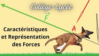 Comment caractériser et modéliser une force [upl. by Oringa261]