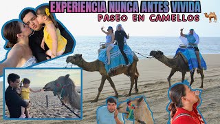 UNA EXPERIENCIA NADA COMÚN PERO MUY FABULOSA  VLOG [upl. by Alage]