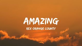 Rex Orange County  AMAZING Lyrics [upl. by Ydrah]