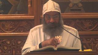 Holy Liturgy Arabic  HG Bishop Raphael [upl. by Ecnav33]