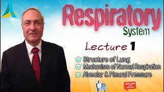 DrNagi  Live Physiology  Lecture 51  Respiration 1 [upl. by Eiznekcm]