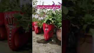 Beautiful terrace garden gardening youtube shortsvideo [upl. by Eusadnilem]