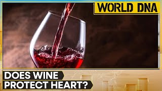 Does a Glass of Wine Protect Your Heart Exploring the Health Benefits and Risks [upl. by Adym]