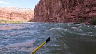 Grand Canyon 2024 07 15 Day 6d  Unkar Creek Rapid [upl. by Carli83]