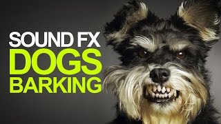 DOGS BARKING  Sound Effects High Quality [upl. by Philipa82]