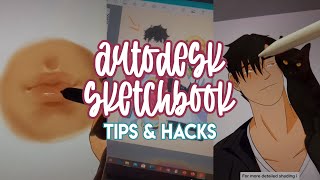 Autodesk Sketchbook Tips amp Hacks  TikTok Compilation [upl. by Frodeen]