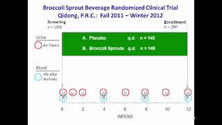 Keap1Nrf2 signaling adaptive responses to exogenous and endogenous stress [upl. by Anirroc672]