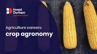 Agriculture Careers Crop Agronomy [upl. by Ajdan]