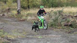 Mushing pod věží Radíkov  28102018 [upl. by Tews]