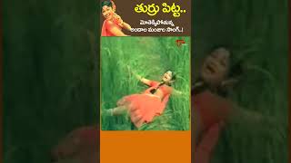 Turru Pitta Turru Pitta Song  తుర్రు పిట్ట తుర్రు పిట్టMayadariMalligadu shorts youtubeshorts [upl. by Ailsa]