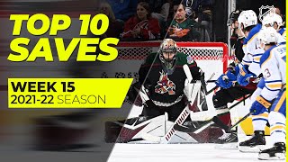 Top 10 Saves from Week 15 of the 202122 NHL Season [upl. by Weslee]