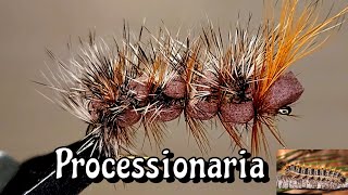 PROCESSIONARIA [upl. by Yaral487]