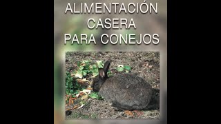 ALIMENTACION CASERA PARA CONEJOS  TONI ROCA  PDF [upl. by Suirred]