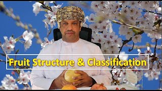 Fruit Classification  Part 4 Fruit Structure amp Classification Practical [upl. by Bonacci959]