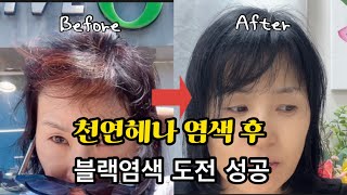 “10년 헤나 염색 후 블랙 염색 도전” 내돈내산 리얼 후기 미장센￼ 헬로드림 미스틱블랙 [upl. by Lauzon]