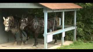 Coshocton Ohio Horse Drawn Canal Boat Part 4 [upl. by Ydaj]