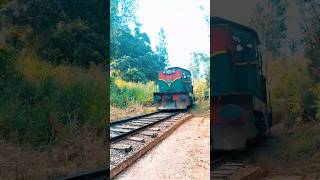 Sri lanka 🛤️🚉 near the nine arches shorts trending viralshorts travel viralvideo [upl. by Bev]