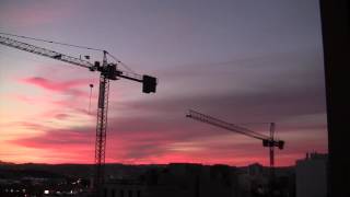 Crane Sunset [upl. by Lad]