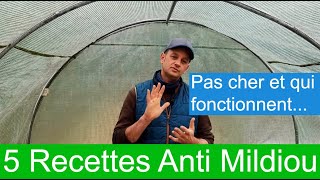 5 ASTUCES ANTI MILDIOU [upl. by Atel]