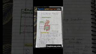 Digestive system anatomy and physiology hindi notes shorts digestivesystem notes anatomy [upl. by Einhoj]