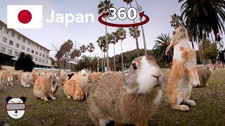 🇯🇵 360° Rabbit Island  Okunoshima Japan [upl. by Sarina]