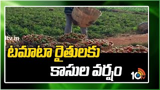 టమాటా రైతులకు కాసుల వర్షం  Tomato farmers having best Price  10TV News [upl. by Ecilegna129]