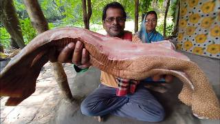 60 KG ওজনের সামুদ্রিক শংকর মাছের রেসিপি  Big Size Sea Fish Cutting amp Cooking [upl. by Eiramlatsyrk253]