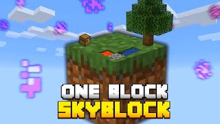 ONE BLOCK MINECRAFT [upl. by Worthington]