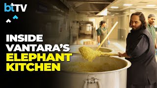 Exclusive  Anant Ambani And Rahul Kanwal Take a Tour of Vantara Kingdom Elephant Kitchen [upl. by Weiss]